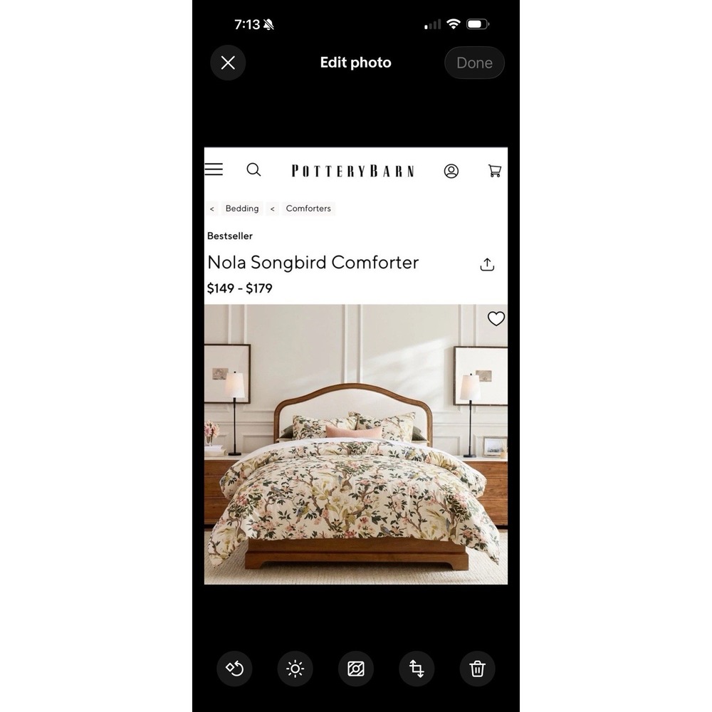 Pottery Barn Nola Songbird Full/Queen  Duvet With 2 Matching Pillow Shams Cotton